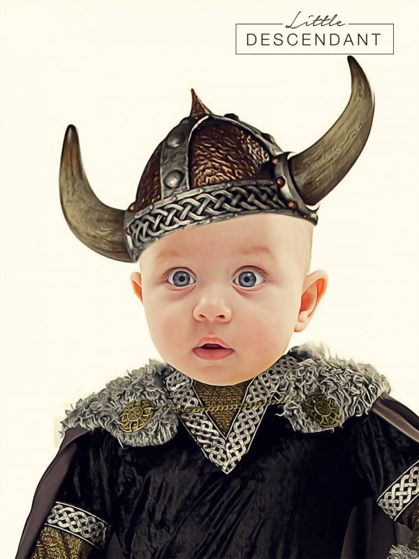 FunnyPortrait viking poster