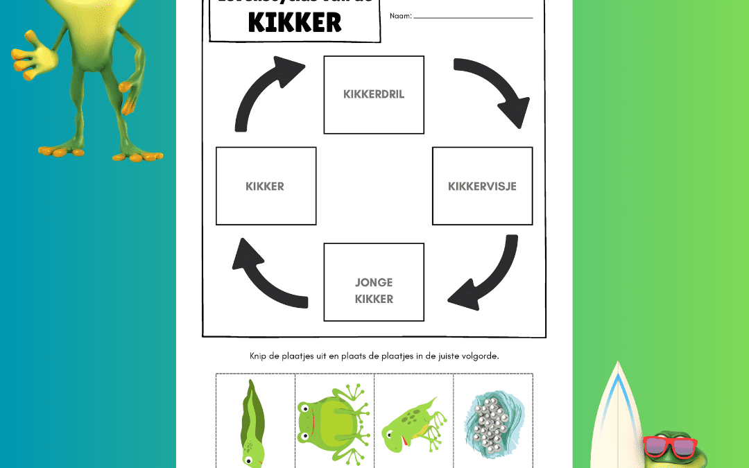 Levenscyclus van de Kikker